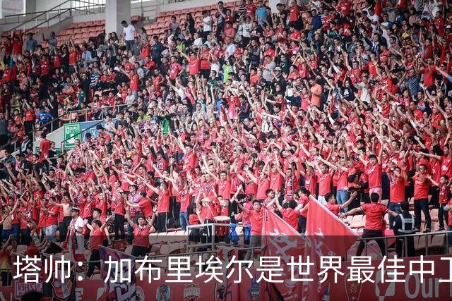 塔帅：加布里埃尔是世界最佳中卫之一，他在两个禁区的作用太强了