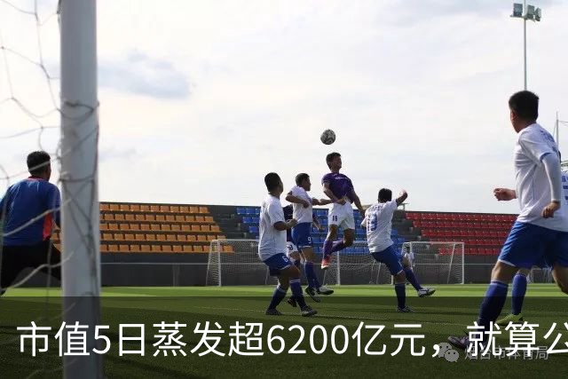 市值5日蒸发超6200亿元，就算公开新款跑车，特斯拉也没资本买账